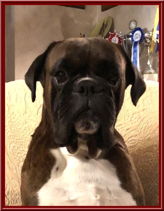 Marley De la vallee du thin